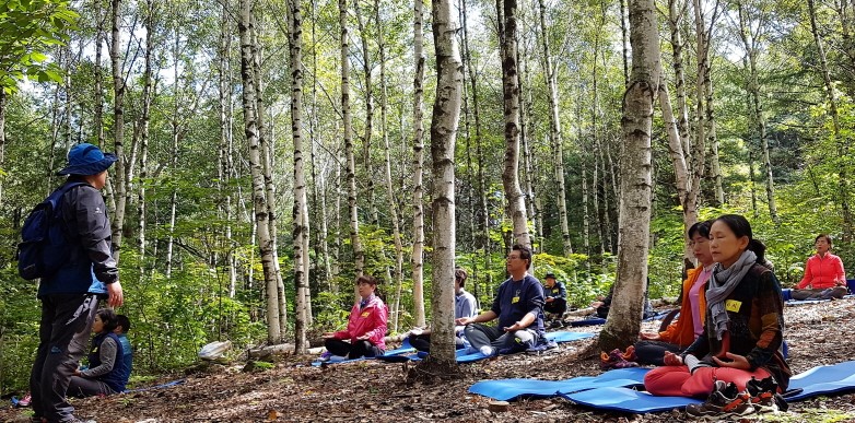 지난해 청태산 자연휴양림 자작나무 명상터에서 참가자들이 명상체험을 하고 있다(산림청 제공)