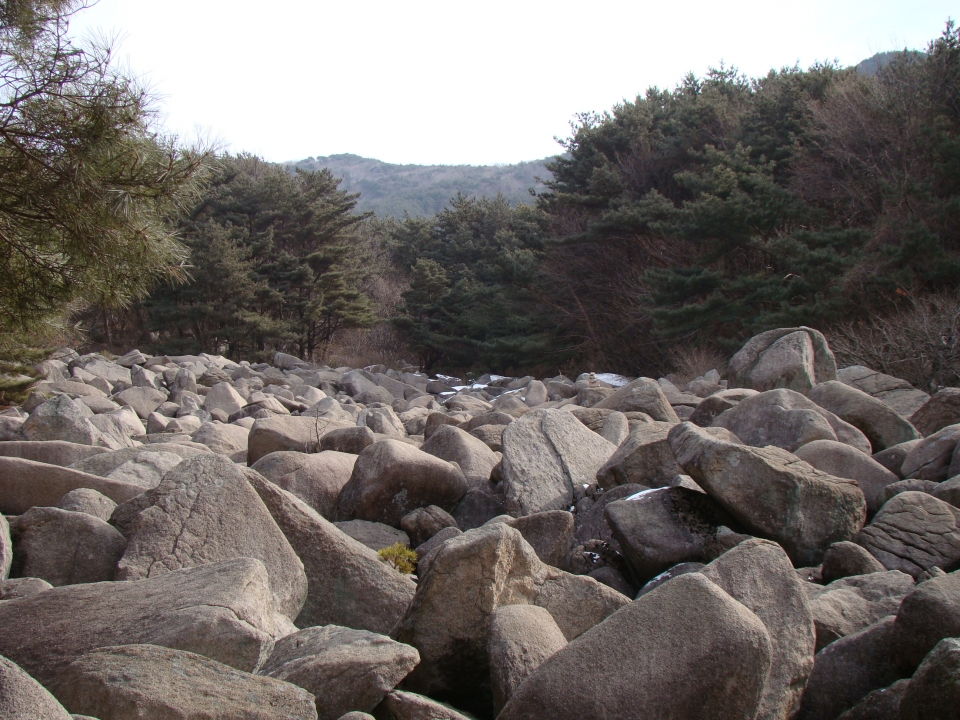 우리나라에서 가장 규모가 큰 천연기념물로 지정된 비슬산 암괴류