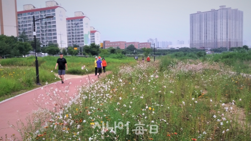 여름꽃이 핀 둔치를 산책하고 있는 시민들. 이상유 기자
