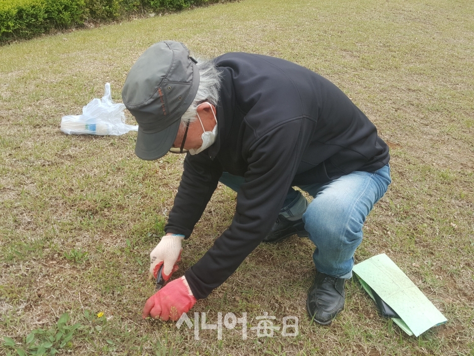 잡초제거 작업을 하고 있는 김영호 씨, 왼손에 낀 반코팅 장갑은 짝짝이다. 정재용 기자