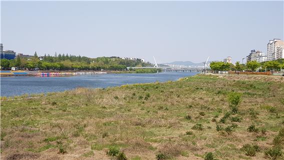 금호강(화랑교에서 동촌유원지)