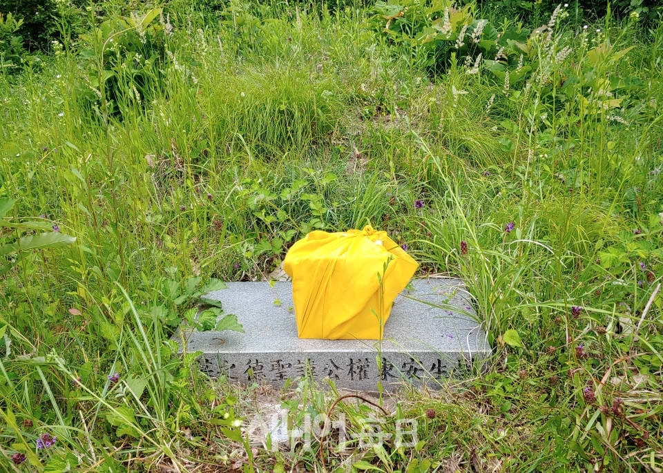 기존 묘지에서 흙을 담은 상자. 권오섭 기자