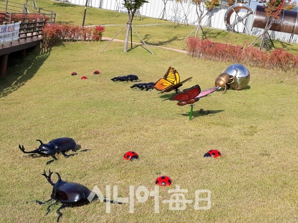 천년기념물 곤충들의 모습 . 여관구 기자