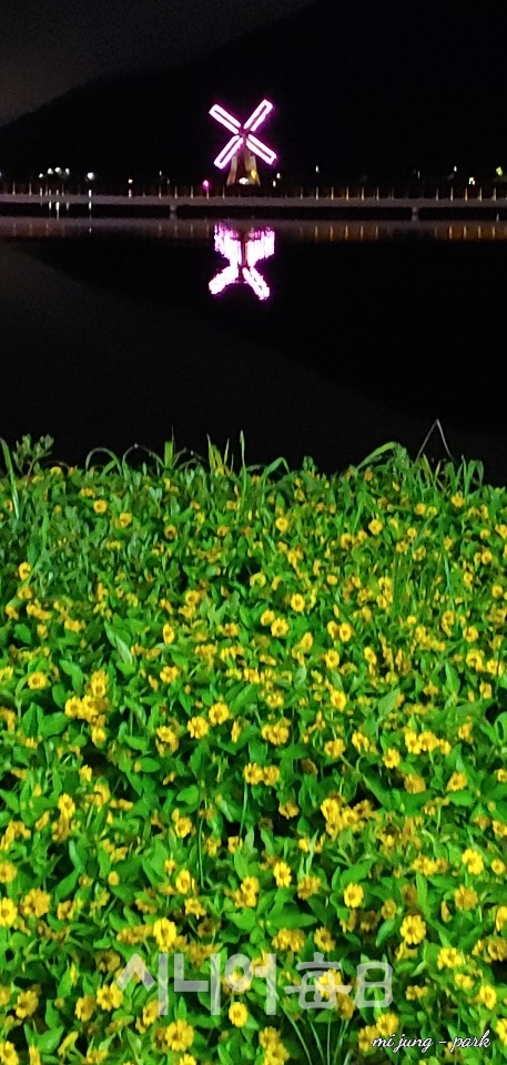 꽃과 풍차. 박미정 기자