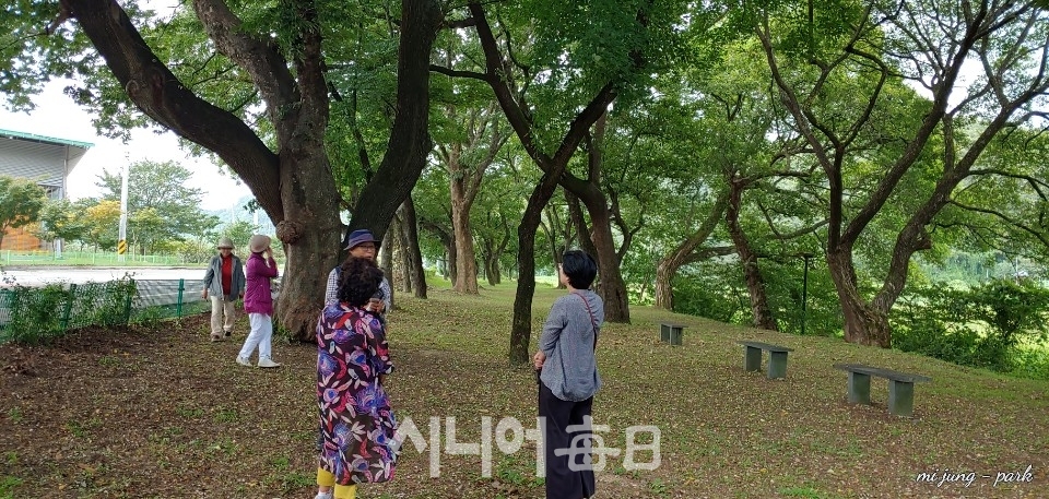 대구의 수필가들이 오리장림을 돌아보고 있다. 박미정 기자