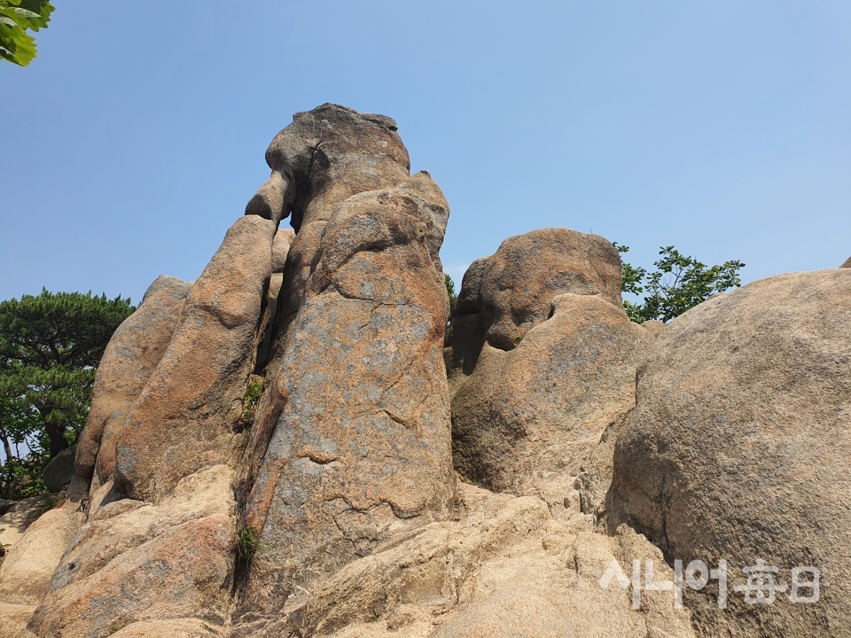 팔봉산 오르는 길에는 기기묘묘한 바위들이 있다. 코끼리바위. 이승호 기자