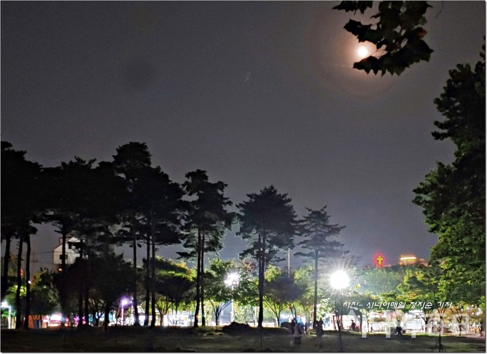 화랑공원의 양버즘 나무잎사이로 보이는 보름달이 마치 용이 여의주를 물고 있는 모습으로 연상이 된다.  정지순 기자