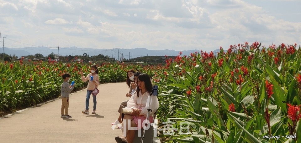 칸나가 활짝 핀 꽃길에서 나들이객들이 즐거운 시간을 보내고 있다. 박미정 기자
