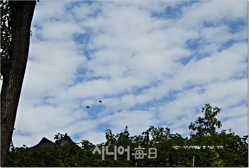 높은 하늘에 공군 전투기가 날고 있는 모습들이 선명하게 보인다. 정지순 기자