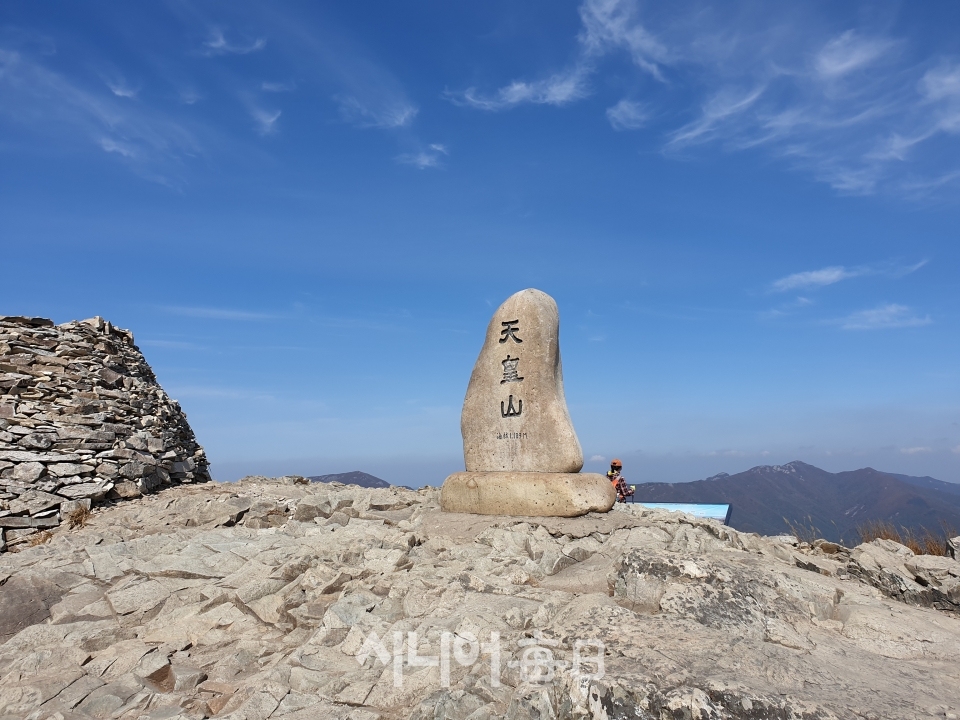 울산광역시 울주군에 위치한 천황산(1,189m)은 갈대가 곳곳에 군락을 이루고 있으며 능선이 부드럽고 아름다운 산이다. 이철락 기자