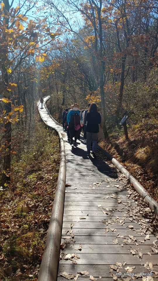 등산객들이 보현산 천문대 산책로를 걷고 있다. 박미정 기자