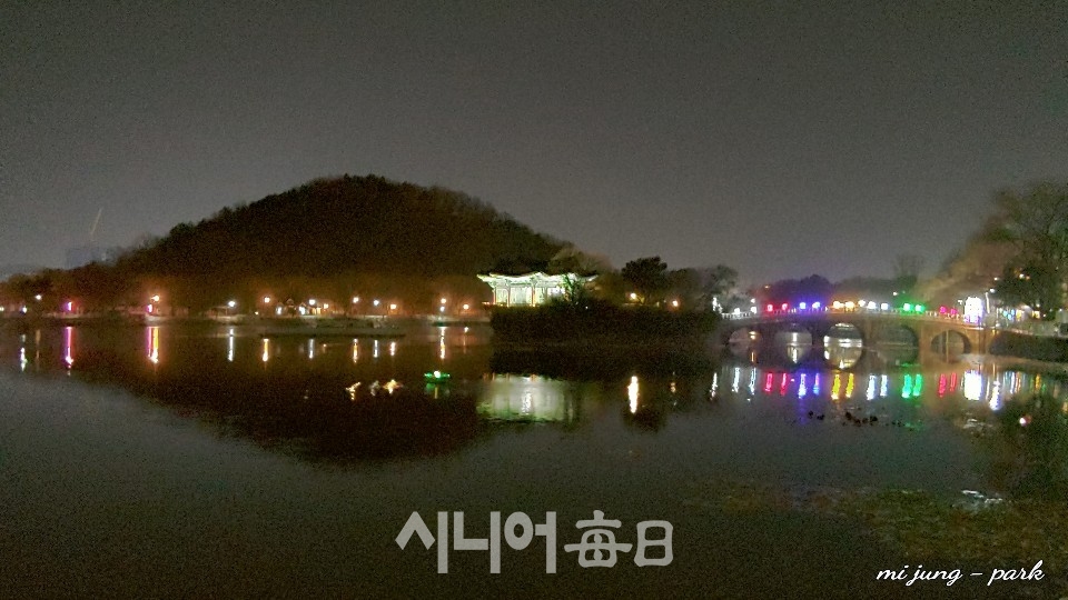 두류공원 부영정과 삼선교 야경. 박미정 기자
