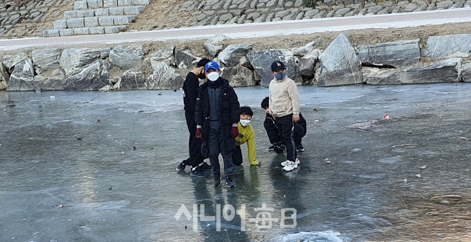팔거천 얼음 위에 아이들 - 김정호 기자