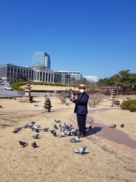 경북대 비둘기학교(월파공원). 정신교 기자