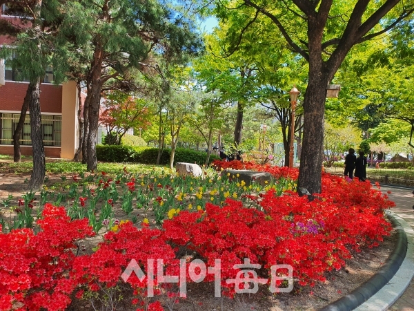 숲과 꽃이 잘 어우려진 국채보상운동 기념공원. 이승호 기자