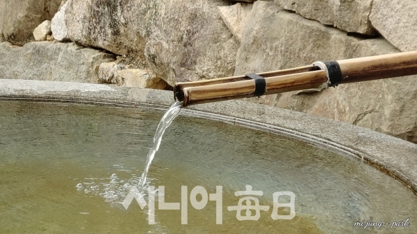 남지장사 낙숫물이 쉴 새없이 떨어진다. 박미정 기자