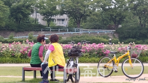 장미가 아름다운 자전거길에서 산책객이 여담을 나누고 있다. 박미정 기자