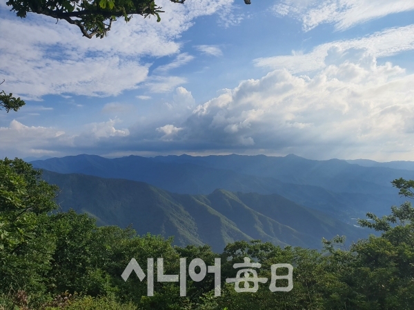 황악산 정상에서 바라본 수려한 민주지산과 삼도봉 산줄기. 이승호 기자