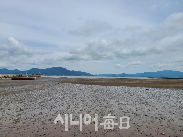 바닷물이 빠져나간 갯벌의 모습  김병두 기자