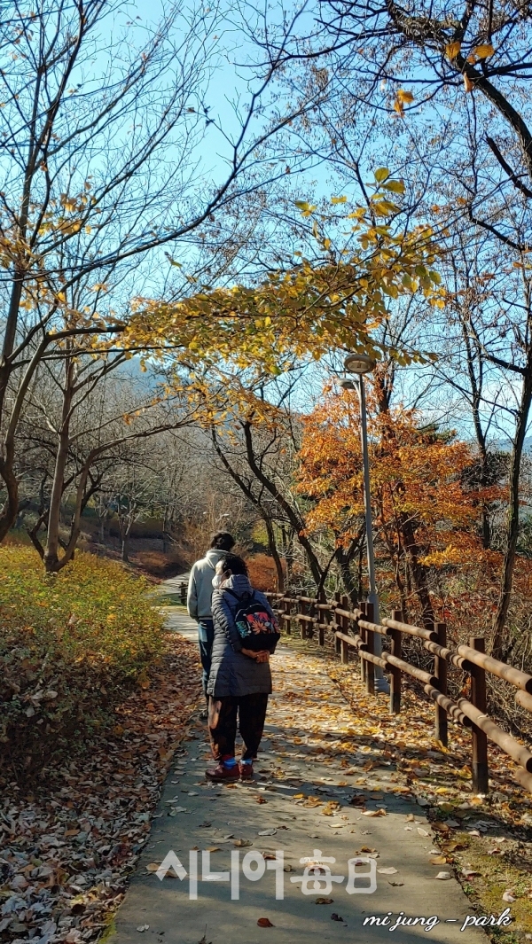 진밭골 산책길에 방문객이 걷고 있다. 박미정 기자