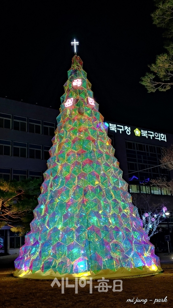 대구 북구청 크리스마스 트리가 화려하다. 박미정 기자