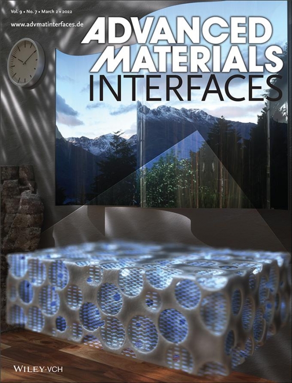 'Advanced Materials Interfaces’ 3월호 표지 논문. 김학린 교수 제공