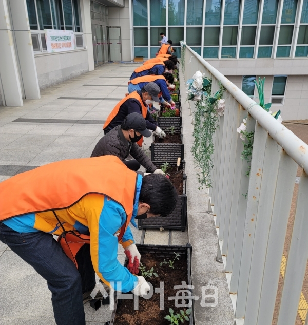 성서노인종합복지관 청춘봉사단원들이 베란다 상자텃밭에 모종을 하고 있다.    박영희 기자