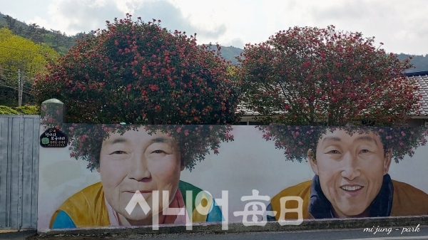 신안군 기동마을에 동백꽃 퍼머를 한 노부부가 환하게 웃고 있다. 박미정 기자