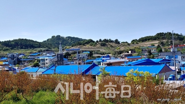 청기와가 아름다운 김환기 고택 마을. 박미정 기자