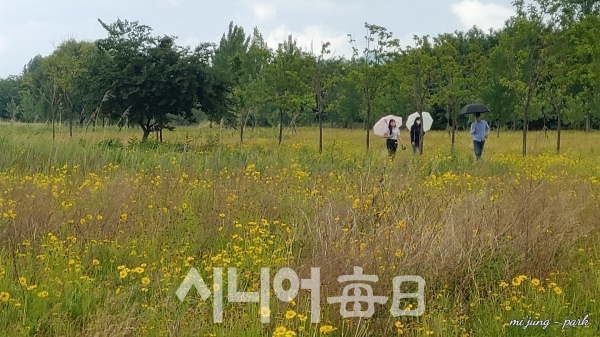 낙동강체육공원 우산 속의 이야기가 궁금하다. 박미정 기자