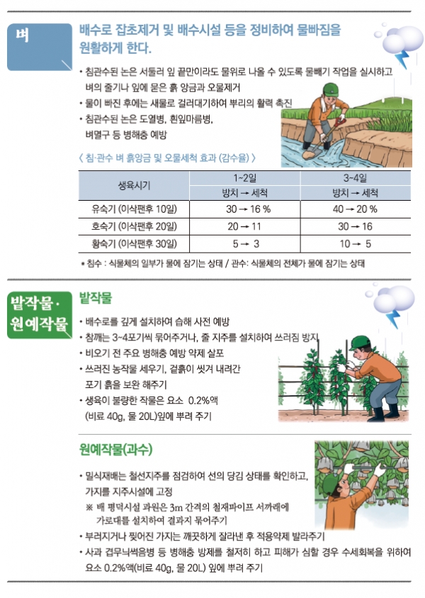 여름철 장마대비 농작물 안전관리 요령. 농진청 제공.