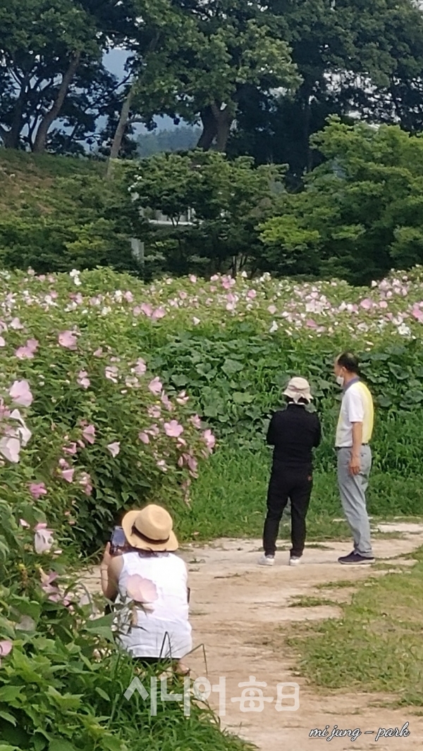 여행객들이 사진을 찍고 있다. 박미정 기자