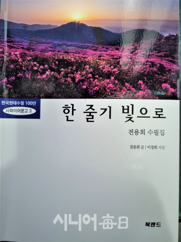 전용희 처녀수필집 '한 줄기 빛으로' 표지 . 최종식 기자