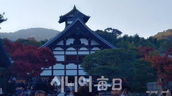 단풍과 어우러진 아름다운 건물. 박미정 기자
