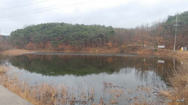 도계서원 앞 연못. 박미정 기자