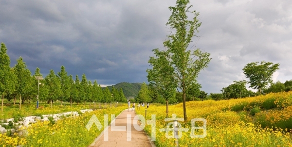 꽃길이 아름다운 산책로. 박미정 기자