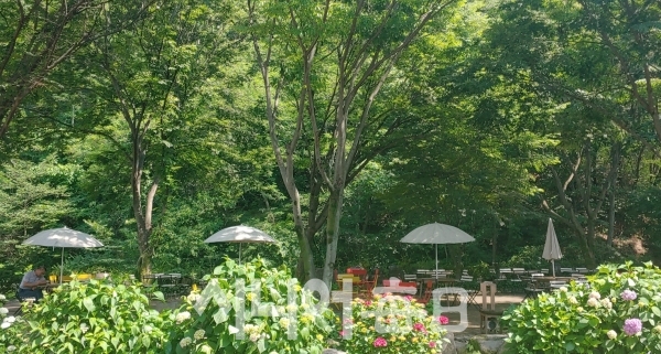 정원이 예쁘다. 박미정 기자