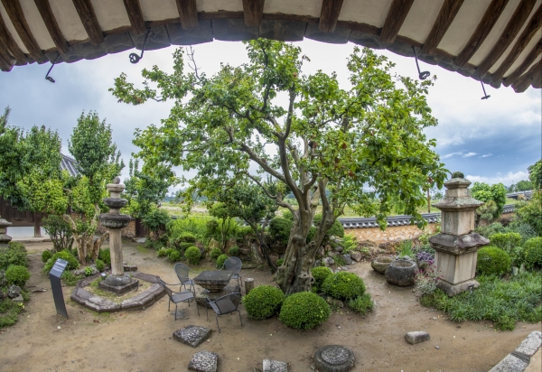 마루에 앉아 석탑과 석등, 나무가 있는 오래된 정원을 보는 것만으로도 힐링 된다.