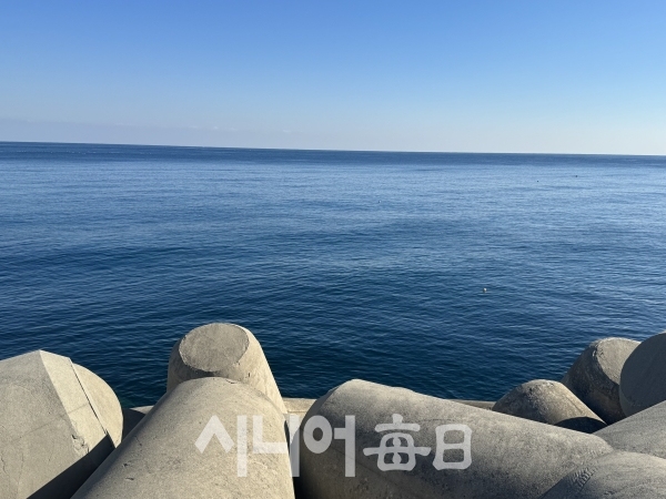 해파란공원의 멋진 바다가 한눈에 들어온다. 박미정 기자