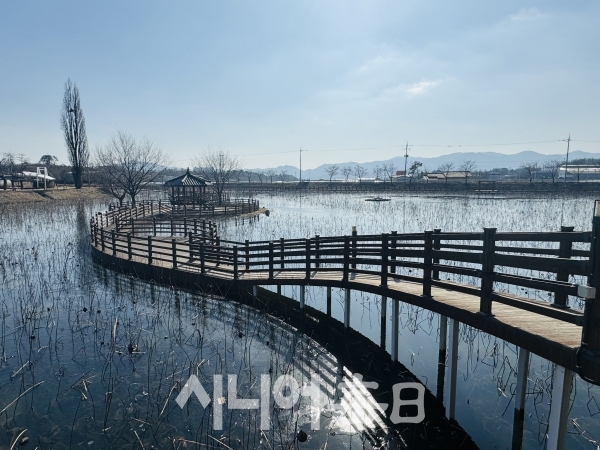 수변공원 데크길이 조성되어 있다. 박미정 기자