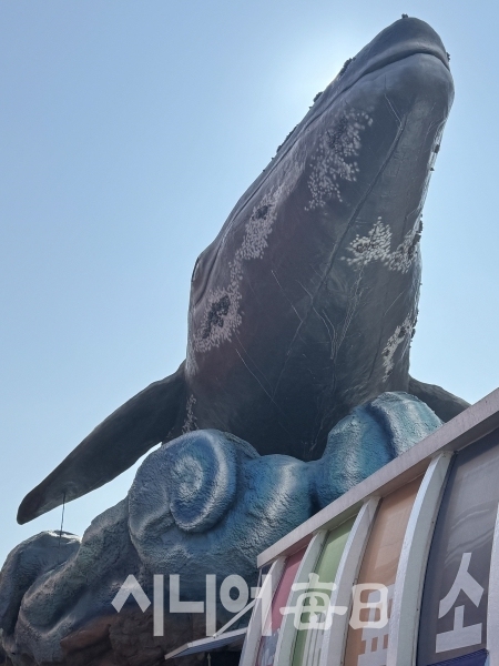 고래박물관 입구의 거대한 고래 조형물이 눈길을 끈다. 박미정 기자